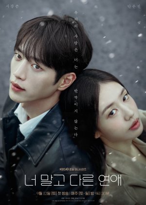 A Love Other than Yours (2026) poster