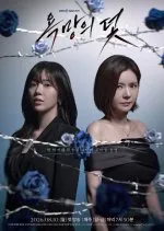 A Trap Called Desire (2026) poster
