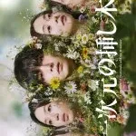 Labyrinth of Hortensia and the Minotaur (2026)